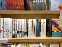 -猫的天空之城概念书店(束河店)