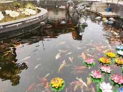 -上海东林寺(金山区)
