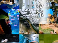 -国家自然博物馆