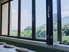 -白茶原·一片叶子