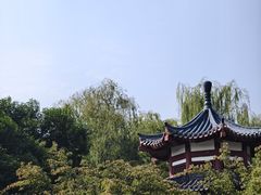 -洛阳市隋唐城遗址植物园