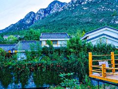 -禅宗少林·音乐大典