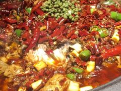 -吞鱼兽麻辣烤鱼(万达店)
