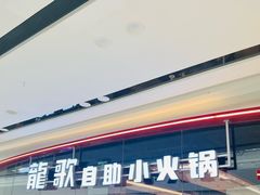 -龍歌自助小火锅(芝罘万达店)