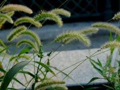 -新欧盟总部大厦
