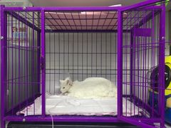 -达爱动物医院·犬猫分区·CT·复杂眼科(远洋山水分院)