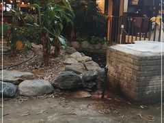 -勐丽梦兰傣味餐厅