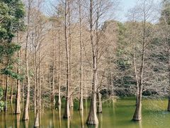-广州市白云山风景名胜区