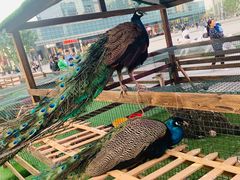 -大族广场Mall&More