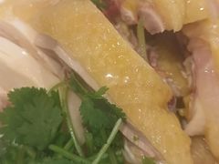 -黄B湛江鸡饭店(粤垦路店)