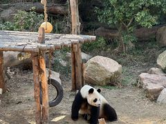 -宁波野生动物园