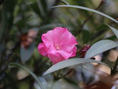 20141006113431_IMG_2743-团城山公园