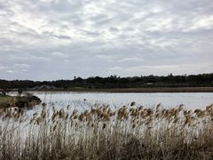 景点-上海海湾国家森林公园