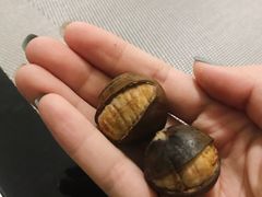 -小宝栗子(嘉华国际商业中心店)