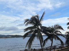 -雾山韩式烤肉·海南糟粕&椰子鸡火锅·海景餐厅(三亚绿发山海天JW万豪酒店)