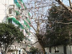 -狮虎桥路