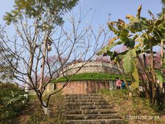 -重庆彩云湖湿地公园