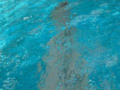 -100蛋泥浆浴