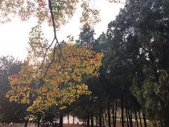 -淮海战役纪念馆