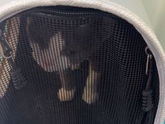 -天宠宠物医院24小时·急重症诊疗中心·全科·腔镜特色(和平分院)