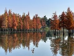 -白鹭湾湿地公园