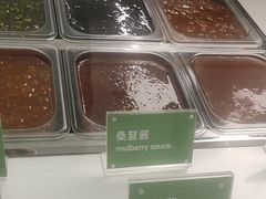 -Salud撒露欧洲冻酸奶(五道口购物中心店)