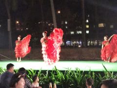 -渔家火锅·海鲜自助餐·演艺(亚龙湾天域酒店)