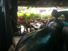 -自然餐厅(Phuket)