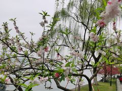 -蕃茄田艺术•美术绘画 •硬笔书法(滨江海威领界店)