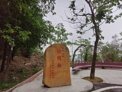 -火炉山森林公园