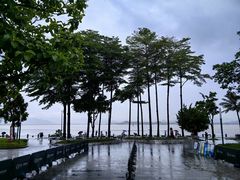 -深圳湾公园(南山区)