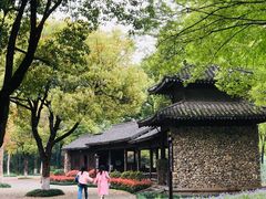 -西溪国家湿地公园