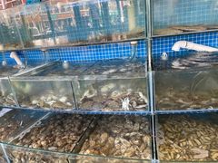 水产区-蟹谢蒸鲜自助餐厅