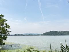 -东湖落雁景区