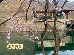 -天源渔港农庄
