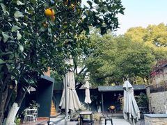 -Willing·Coffee&Brunch&Dinner(万达店)