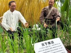 -新地休闲农场