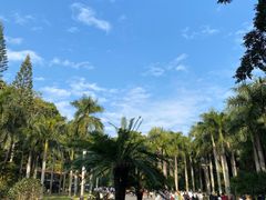 -深圳仙湖植物园
