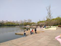 -新江湾城公园