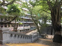 -香港佐治五世纪念公园