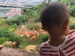 -无锡动物园·太湖欢乐园