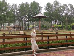 -大连森林动物园