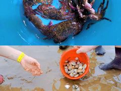 -前王院•巧克力海鲜市集餐厅(万平口店)