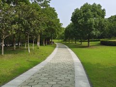 -如皋市龙游湖欢乐世界