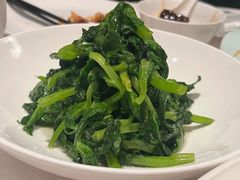 高山豆苗-南麓·浙里(外滩店)