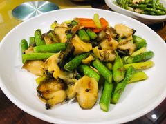 xo酱炒海螺-老广酒楼(樱花店)