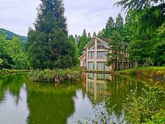 -武陵山森林公园