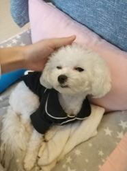 -肌理言健康美肌驻颜所