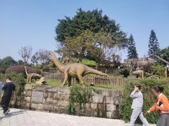 -自贡恐龙博物馆