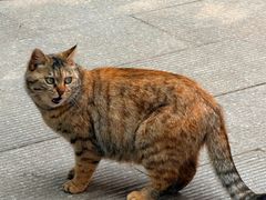 -红螺寺